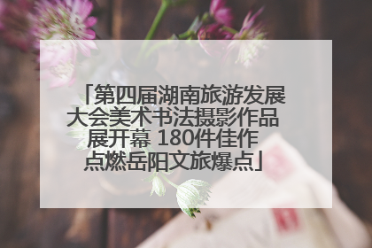 第四届湖南旅游发展大会美术书法摄影作品展开幕 180件佳作点燃岳阳文旅爆点