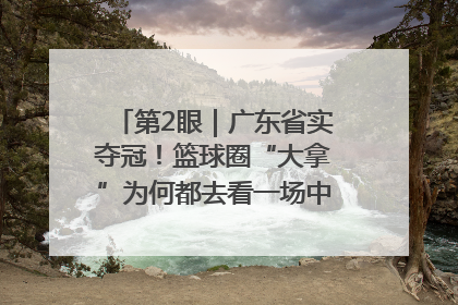 第2眼｜广东省实夺冠！篮球圈“大拿”为何都去看一场中学生比赛？