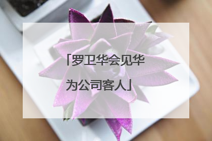 罗卫华会见华为公司客人