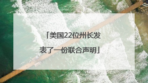 美国22位州长发表了一份联合声明