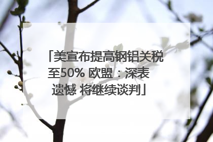 美宣布提高钢铝关税至50% 欧盟：深表遗憾 将继续谈判
