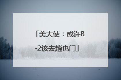 美大使：或许B-2该去趟也门