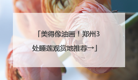 美得像油画！郑州3处睡莲观赏地推荐→