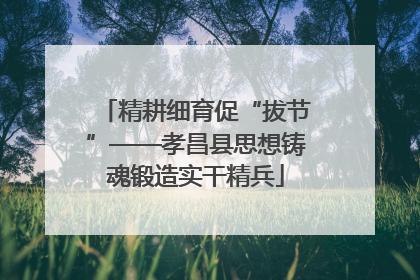 精耕细育促“拔节”——孝昌县思想铸魂锻造实干精兵