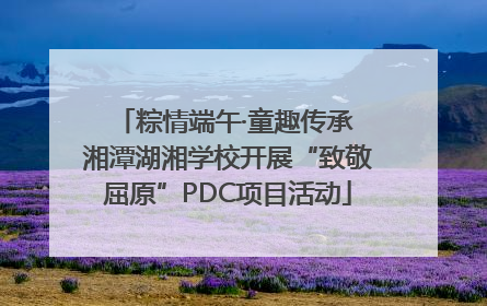 粽情端午·童趣传承 湘潭湖湘学校开展“致敬屈原”PDC项目活动
