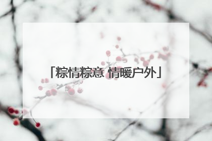 粽情粽意 情暖户外