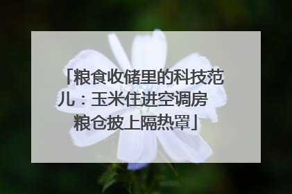 粮食收储里的科技范儿：玉米住进空调房 粮仓披上隔热罩