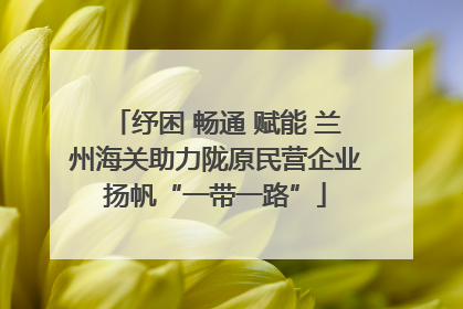 纾困 畅通 赋能 兰州海关助力陇原民营企业扬帆“一带一路”