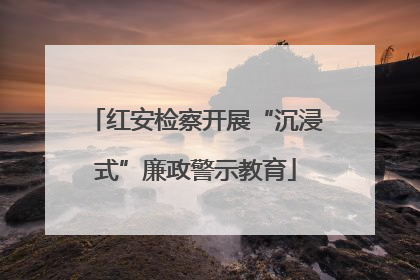 红安检察开展“沉浸式”廉政警示教育