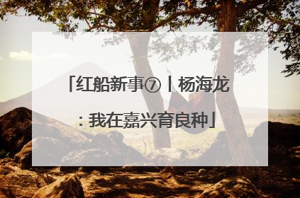 红船新事⑦丨杨海龙：我在嘉兴育良种