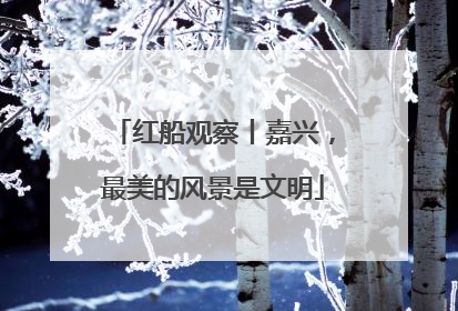 红船观察丨嘉兴，最美的风景是文明