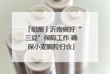 组图丨沂南做好“三夏”保障工作 确保小麦颗粒归仓