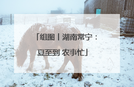 组图丨湖南常宁：夏至到 农事忙