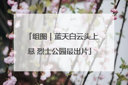 组图｜蓝天白云头上悬 烈士公园最出片