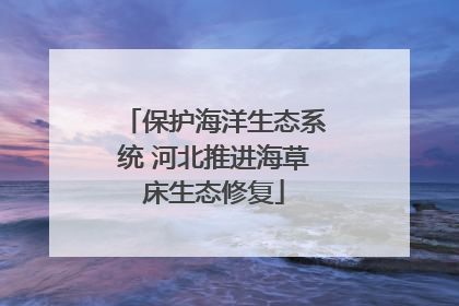保护海洋生态系统 河北推进海草床生态修复