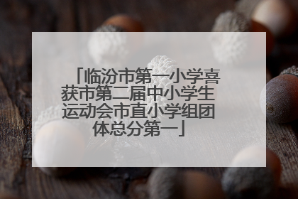 临汾市第一小学喜获市第二届中小学生运动会市直小学组团体总分第一