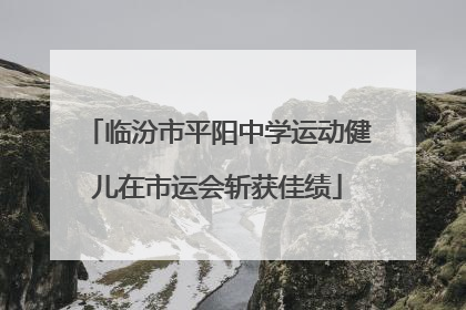 临汾市平阳中学运动健儿在市运会斩获佳绩