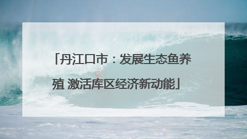 丹江口市：发展生态鱼养殖 激活库区经济新动能