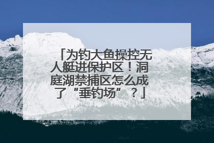 为钓大鱼操控无人艇进保护区！洞庭湖禁捕区怎么成了“垂钓场”？
