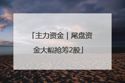 主力资金｜尾盘资金大幅抢筹2股