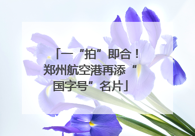 一“拍”即合！郑州航空港再添“国字号”名片