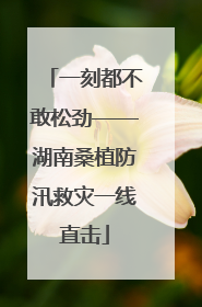 一刻都不敢松劲——湖南桑植防汛救灾一线直击