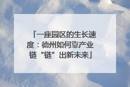 一座园区的生长速度：德州如何靠产业链“链”出新未来