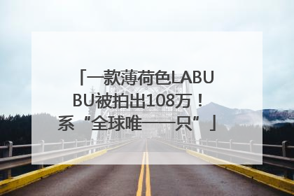 一款薄荷色LABUBU被拍出108万！系“全球唯一一只”
