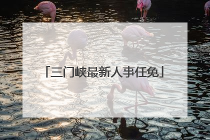 三门峡最新人事任免