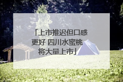 上市推迟但口感更好 四川水蜜桃将大量上市