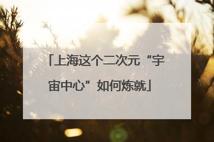 上海这个二次元“宇宙中心”如何炼就