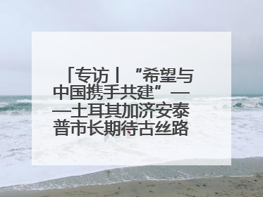 专访丨“希望与中国携手共建”——土耳其加济安泰普市长期待古丝路重镇焕发新活力