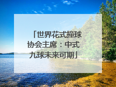 世界花式撞球协会主席：中式九球未来可期