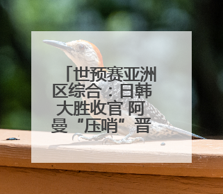 世预赛亚洲区综合：日韩大胜收官 阿曼“压哨”晋级附加赛