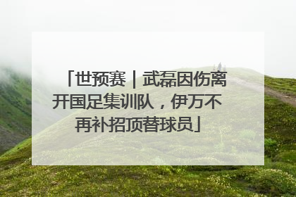 世预赛｜武磊因伤离开国足集训队，伊万不再补招顶替球员