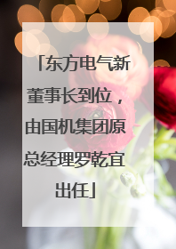 东方电气新董事长到位，由国机集团原总经理罗乾宜出任