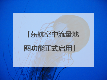 东航空中流量地图功能正式启用