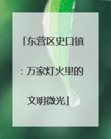 东营区史口镇：万家灯火里的文明微光