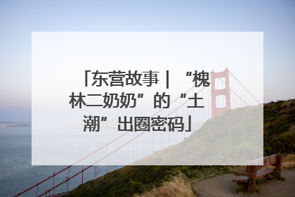 东营故事｜“槐林二奶奶”的“土潮”出圈密码