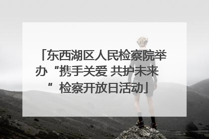 东西湖区人民检察院举办“携手关爱 共护未来”检察开放日活动