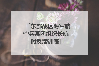 东部战区海军航空兵某团组织长航时反潜训练