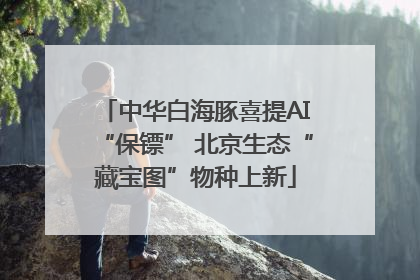 中华白海豚喜提AI“保镖” 北京生态“藏宝图”物种上新