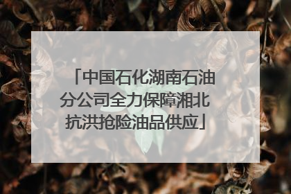 中国石化湖南石油分公司全力保障湘北抗洪抢险油品供应