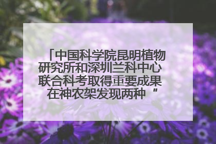 中国科学院昆明植物研究所和深圳兰科中心联合科考取得重要成果 在神农架发现两种“国保”级兰花