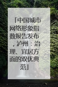 中国城市网络形象指数报告发布，泸州：治理、宜居方面的双优典范