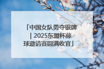 中国女队勇夺银牌｜2025东盟杯藤球邀请赛圆满收官
