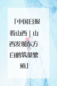 中国日报看山西｜山西发现东方白鹳筑巢繁殖