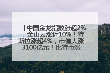 中国金龙指数涨超2%，金山云涨近10%！特斯拉涨超4%，市值大涨3100亿元！比特币涨回11万美元关口