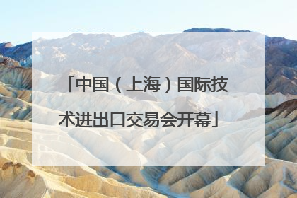 中国（上海）国际技术进出口交易会开幕