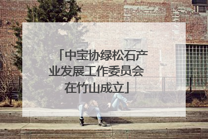 中宝协绿松石产业发展工作委员会在竹山成立